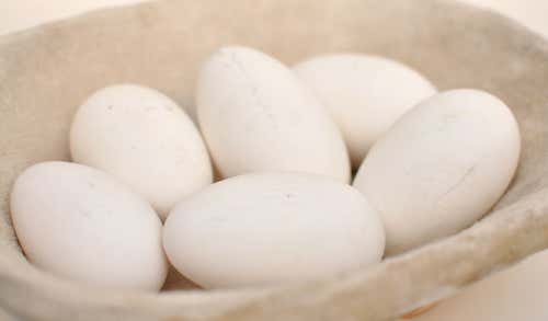 Tipos de huevo: de oca