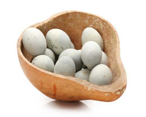 Tipos de huevos: de pato