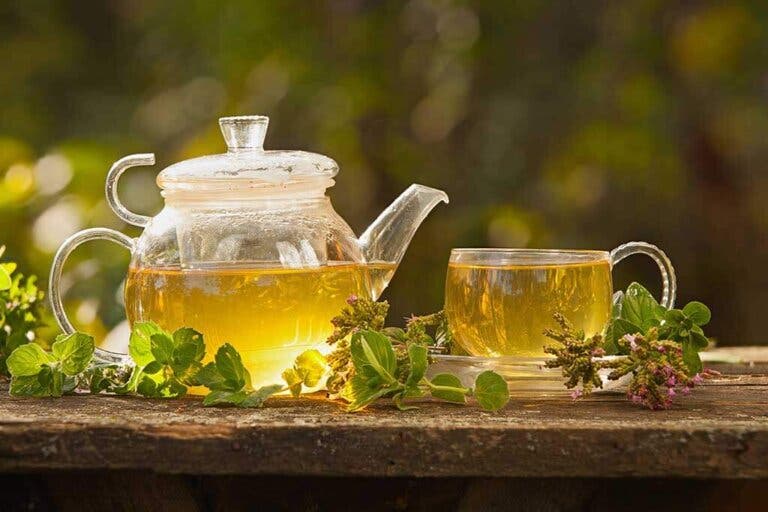 Infusiones medicinales para combatir las varices