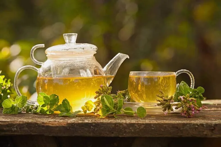 Infusiones medicinales para combatir las varices