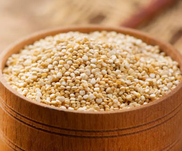 7 fuentes de carbohidratos que no te engordan