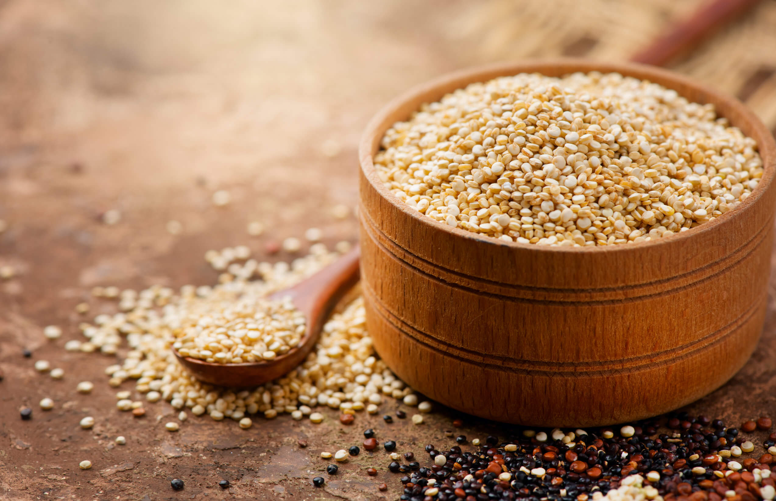Preparación de quinoa y calabacin