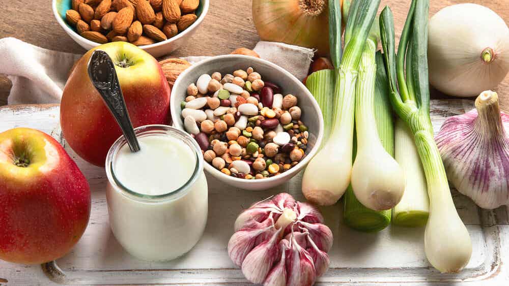 ¿Qué podemos comer para recuperar la flora intestinal? - Mejor con Salud polvo para recuperar la flora intestinal