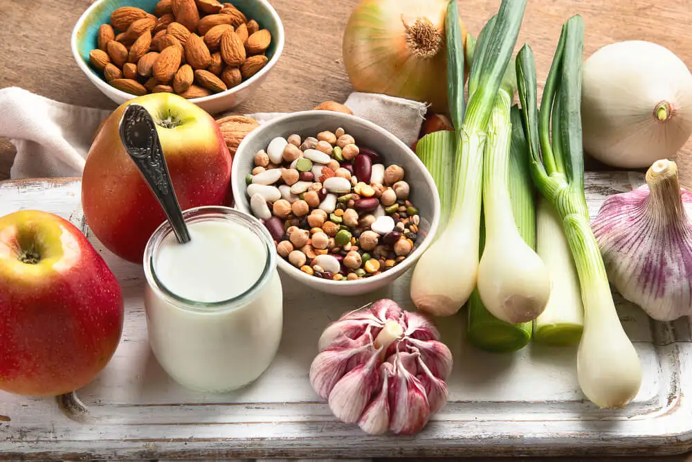 Alimentos probioticos.
