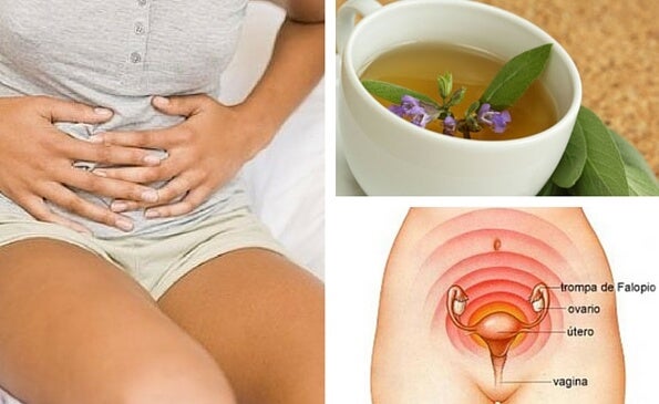 Alimentos que no deberías comer durante la menstruación