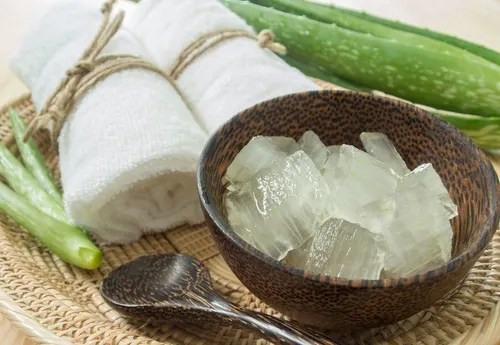 Aloe-vera