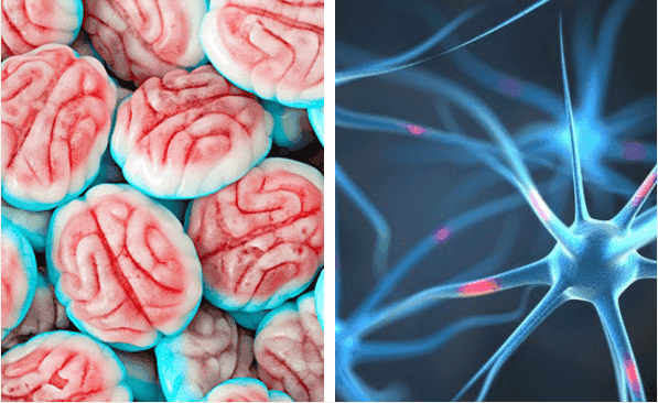 Cómo reacciona tu cerebro cuando dejas de tomar azúcar