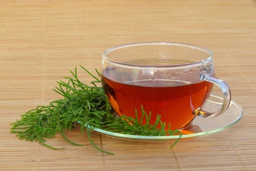 Remedio para combatir las infecciones urinarias: cola de caballo