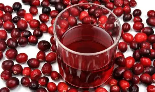 7 remedios naturales para combatir la cistitis