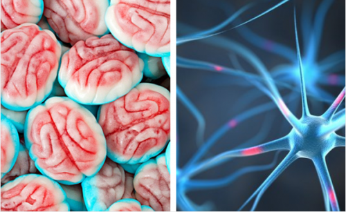 Cómo reacciona tu cerebro cuando dejas de tomar azúcar