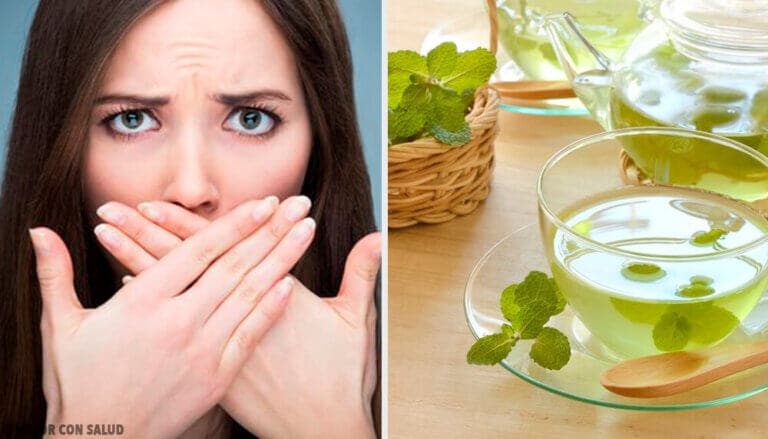 Descubre las propiedades y usos de la menta