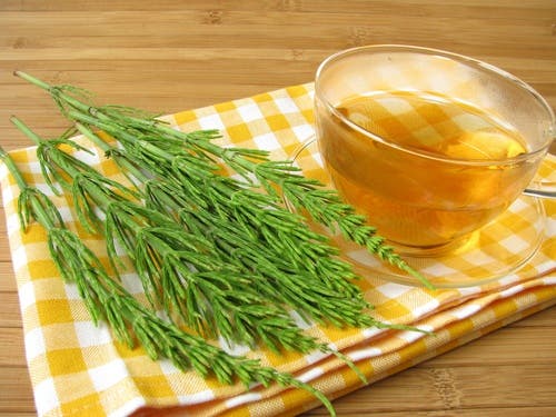 Infusión de cola de caballo para la caries