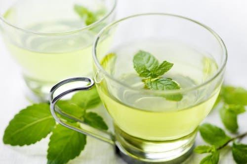 Infusion de menta