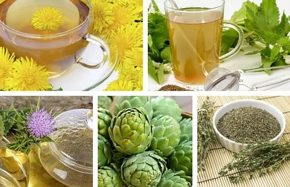 ¿Sirven las infusiones de hierbas para desintoxicar el cuerpo?