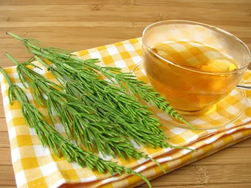 Infusión de cola de caballo para la caries