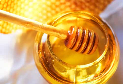 Miel de abeja para subir las defensas