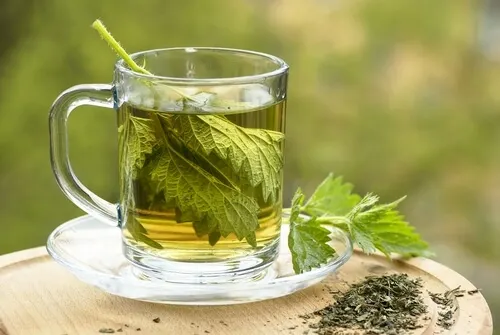 Infusión de ortigas