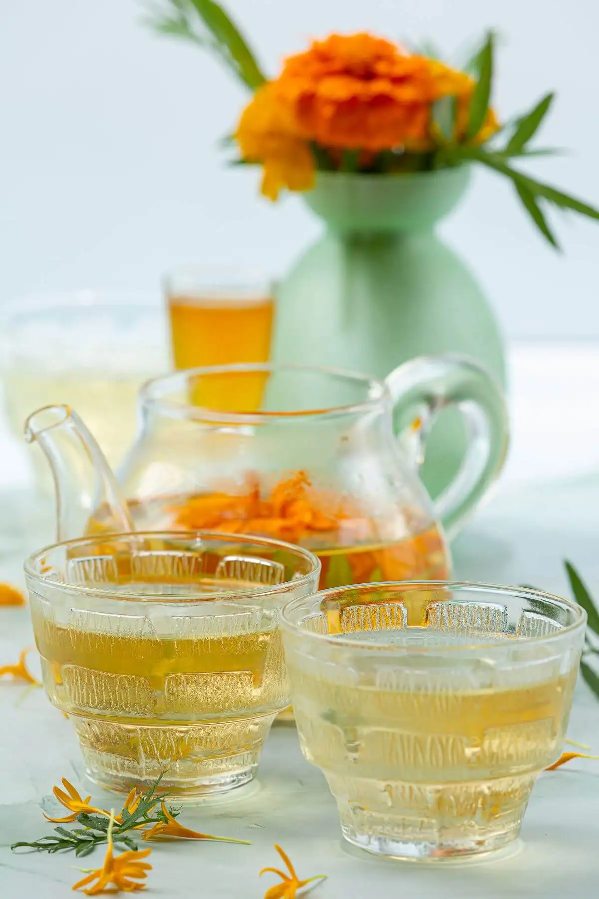 Calendula