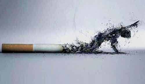 El tabaco le descuenta días a tu vida