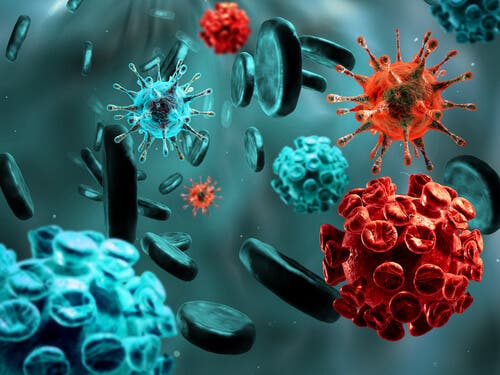¿Cómo podemos luchar contra las infecciones de manera natural?