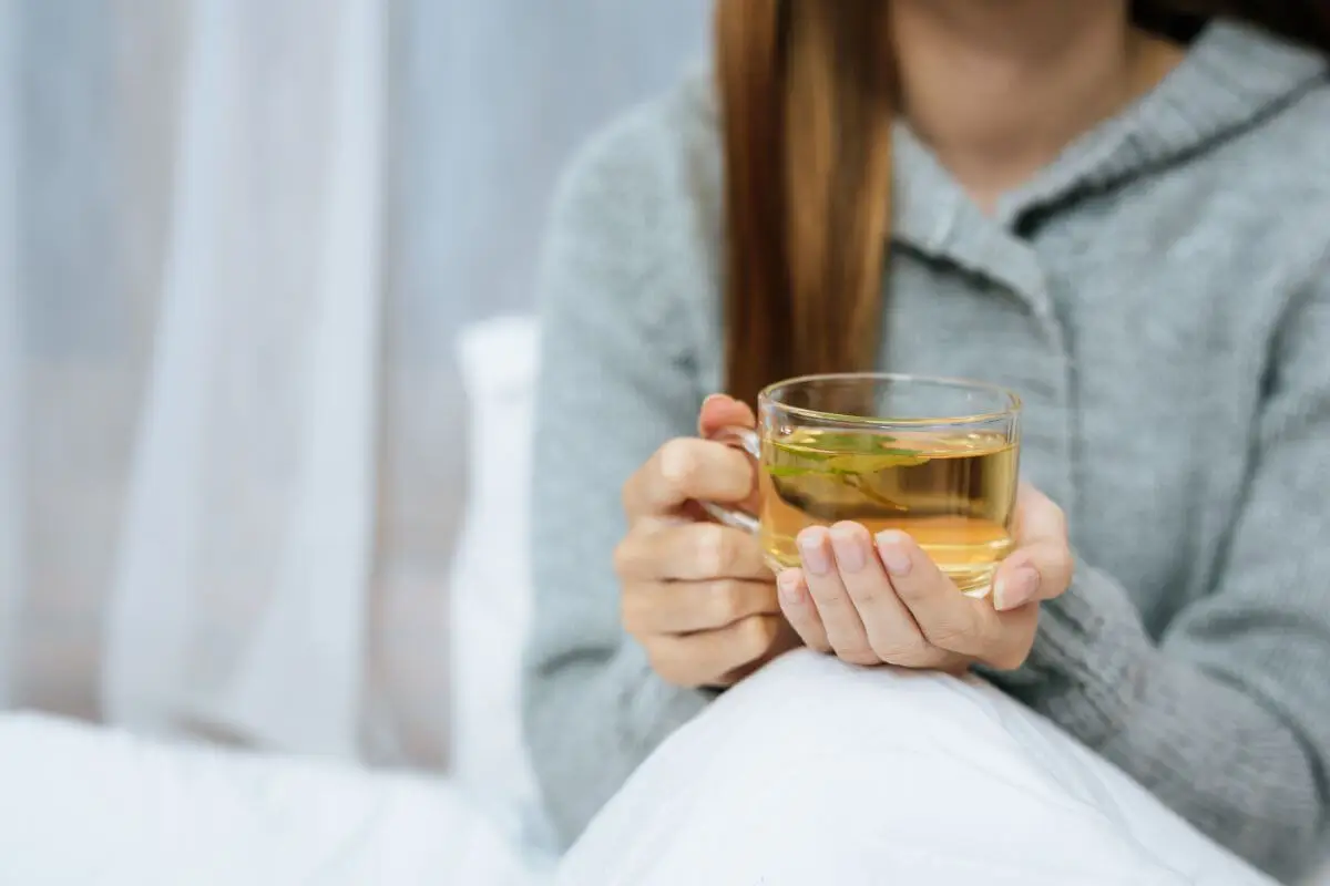 Infusión de ortiga