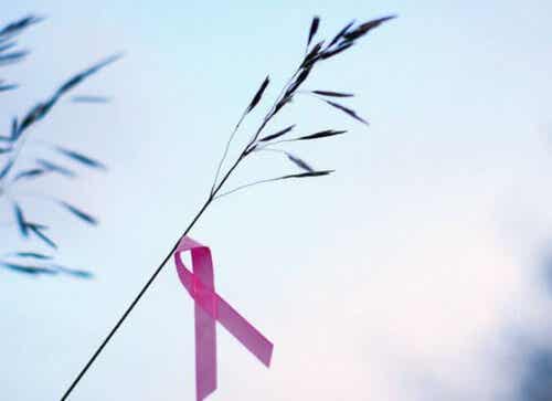 La cinta rosada, la unión frente el cáncer de mama