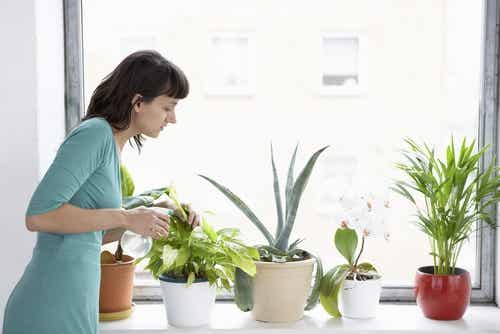 Mujer con plantas aromáticas