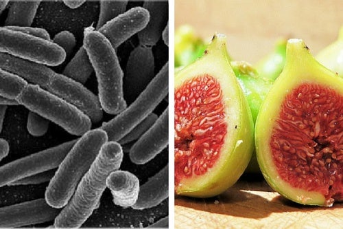 Eliminar bacterias del estómago con un eficaz tratamiento con higos