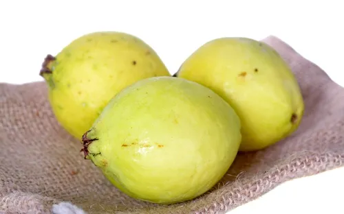 Es recomendada para problemas circulatorios y anemia