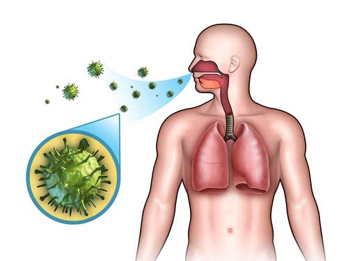 Fortalece las defensas del cuerpo