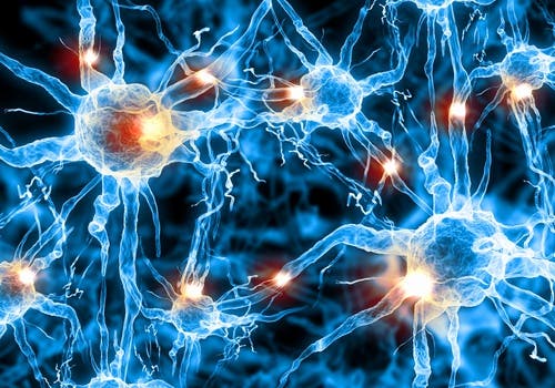 La postura al dormir y su impacto en la función cerebral