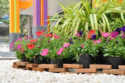 Usos alternativos del azúcar: jardinería