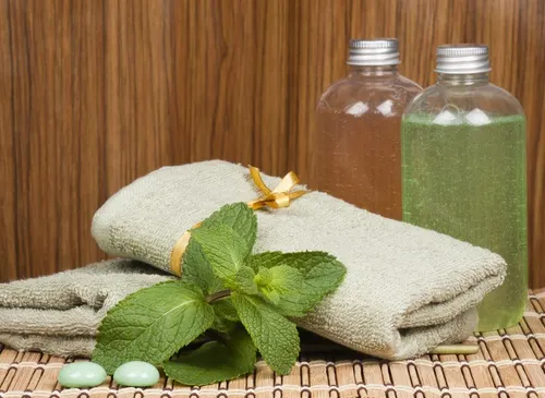 Receta I de shampú de menta para cabellos grasos