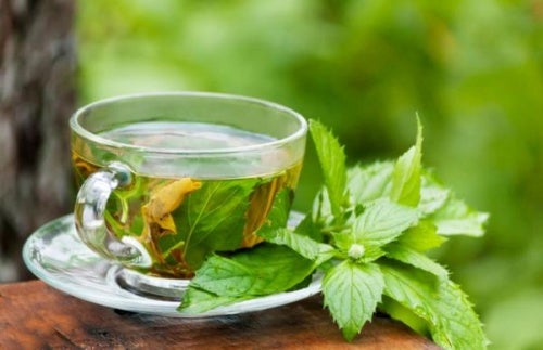 Beneficios que el té de boldo le aporta a tu organismo - Mejor con