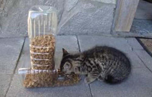 Dispensador de alimentos