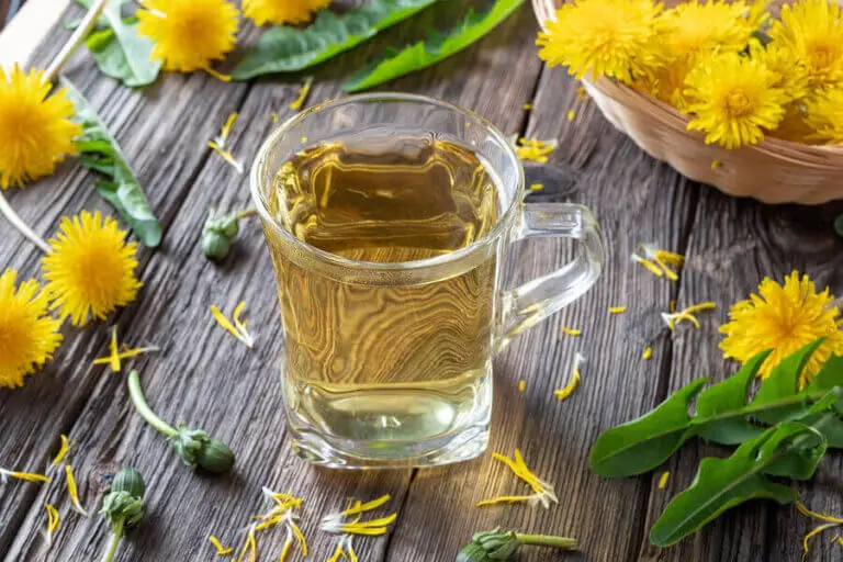 4 plantas medicinales que ayudan a desintoxicar el hígado