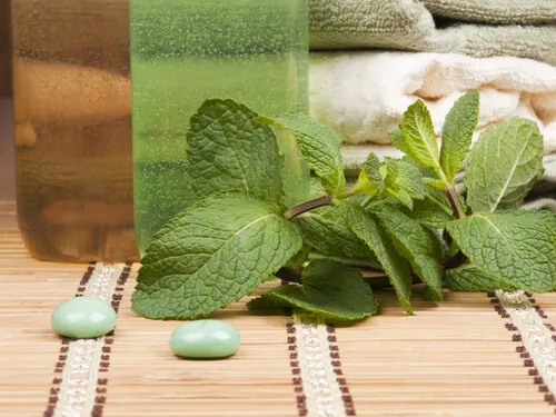 Champú de menta para mejorar la salud del cabello