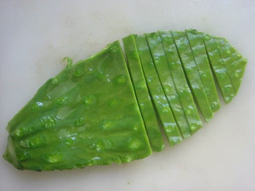 Nopal