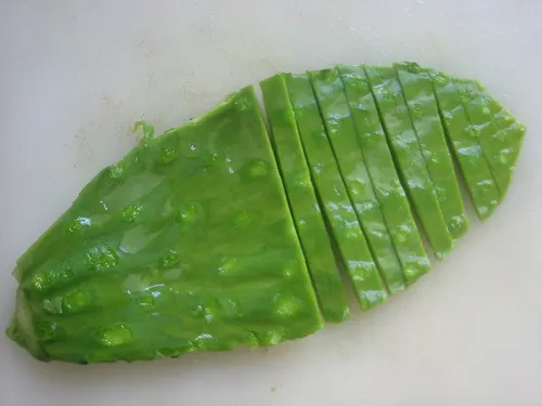 Nopal