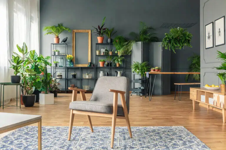 Plantas de interior en un salón moderno.