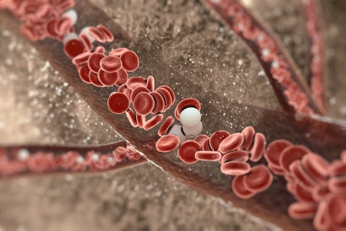 Consejos y remedios para rejuvenecer las arterias de forma natural