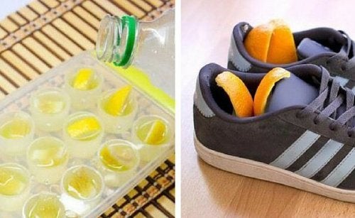 6 usos alternativos para la cáscara de los cítricos