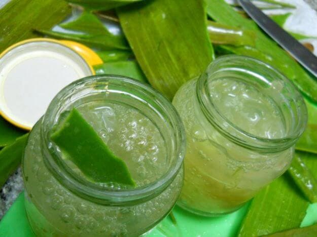 Cómo hacer gel de aloe vera casero y cuáles son sus aplicaciones