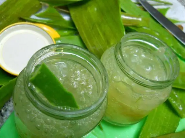 Cómo hacer gel de aloe vera casero y cuáles son sus aplicaciones