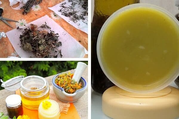 Crema de árnica hecha en casa para tratar las lesiones y los dolores