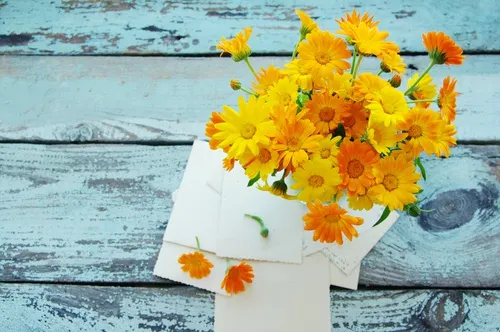Un antiséptico natural con plantas medicinales