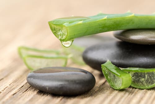 6 beneficios que la sábila le aporta a tu cabello