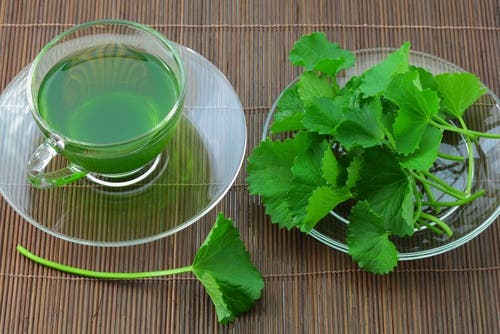 infusión de apio para la presión arterial alta