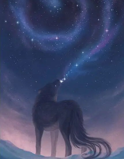 belleza lobo