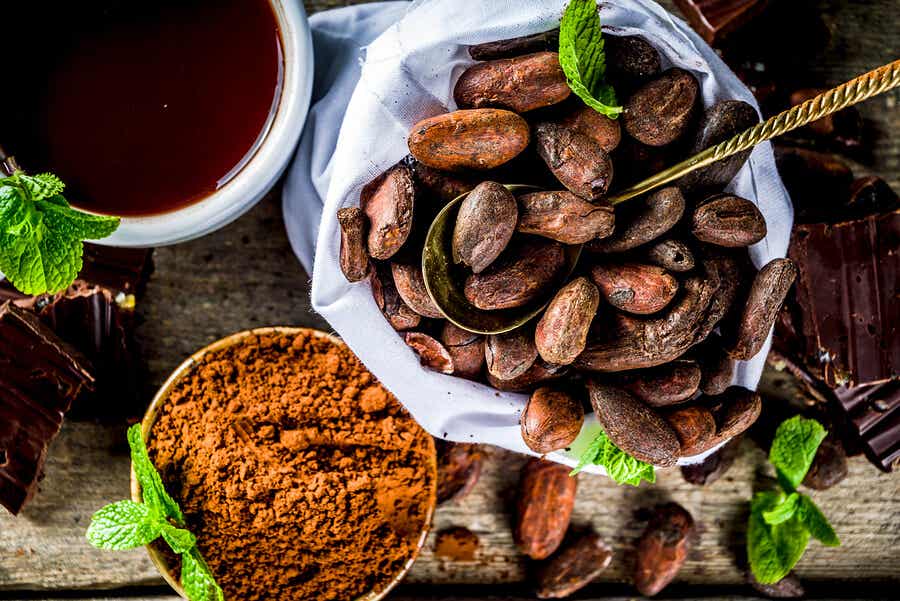 Cómo consumir cacao puro y que resulte delicioso